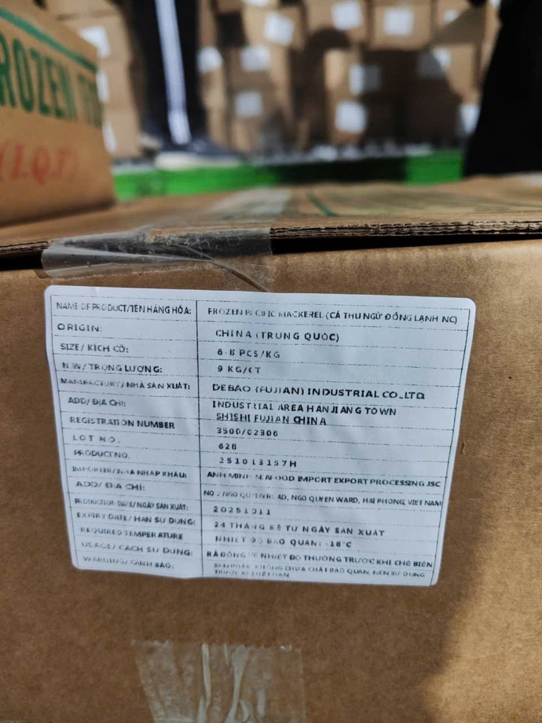 CÁ NỤC TQ 6–8 (THU NGỪ) ĐÔNG LẠNH - THÙNG 10KG