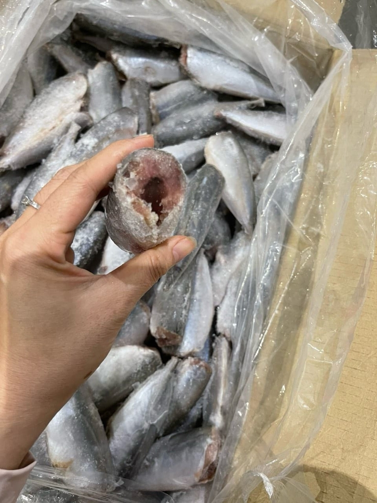 Cá Nục Gai Cắt Đầu size 20-24 con/kg ( thùng 10kg)