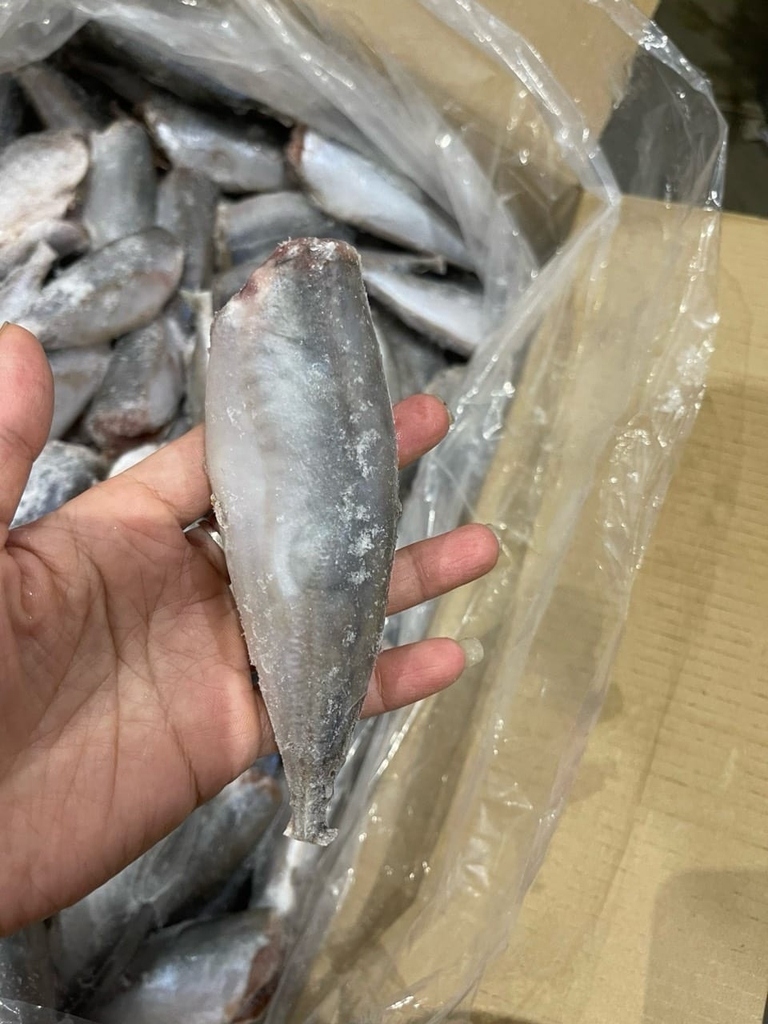 Cá Nục Gai Cắt Đầu size 20-24 con/kg ( thùng 10kg)