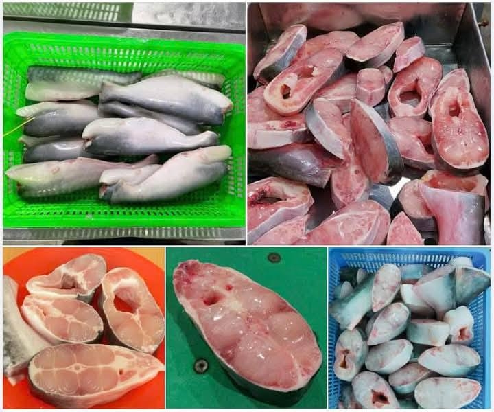 Cá Basa thịt trắng Hùng Phát- Nguyên con , File , cắt khúc
