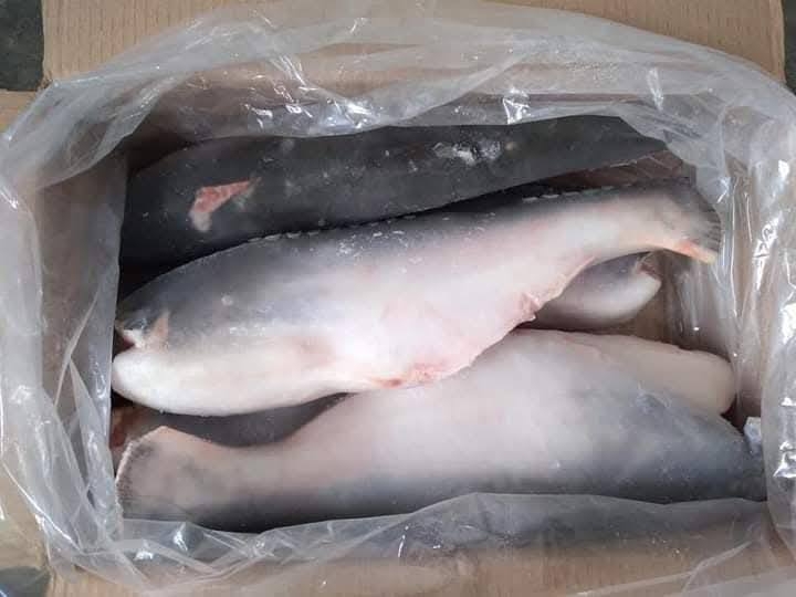 Cá Basa thịt trắng Hùng Phát- Nguyên con , File , cắt khúc