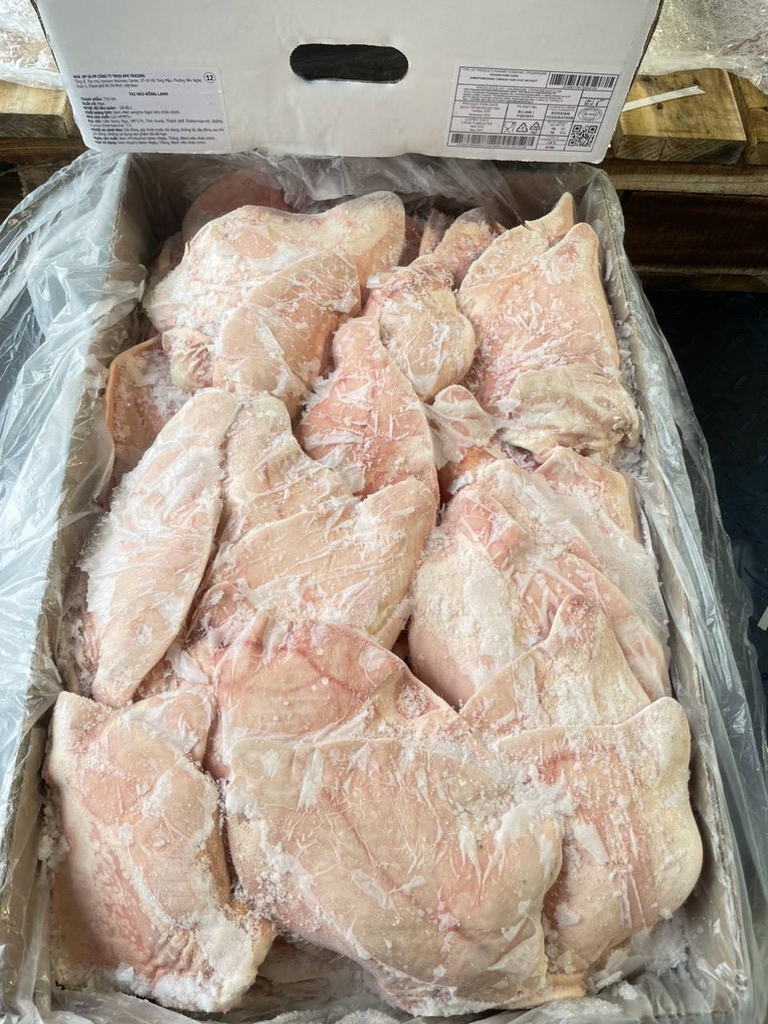 Tai heo có đế Nga APK A ( nhà máy 069) 16kg