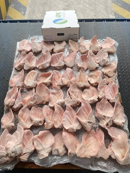 Tai heo có đế Nga APK A ( nhà máy 069) 16kg