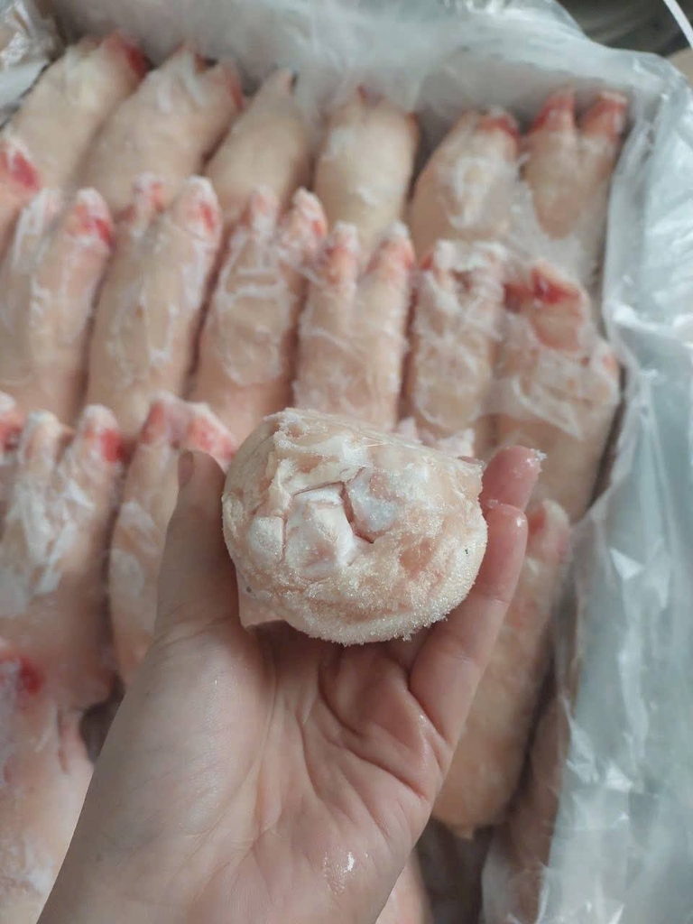 MÓNG GIÒ HEO TRƯỚC APK 