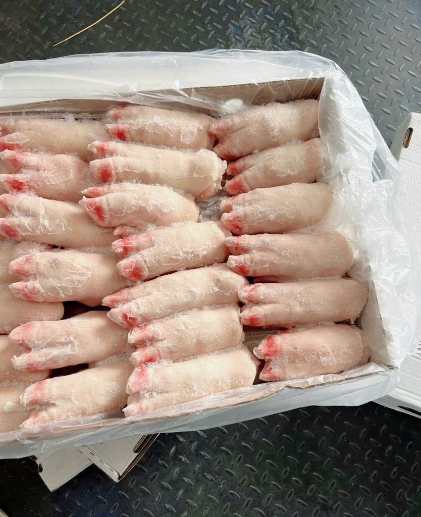 MÓNG GIÒ HEO TRƯỚC APK 