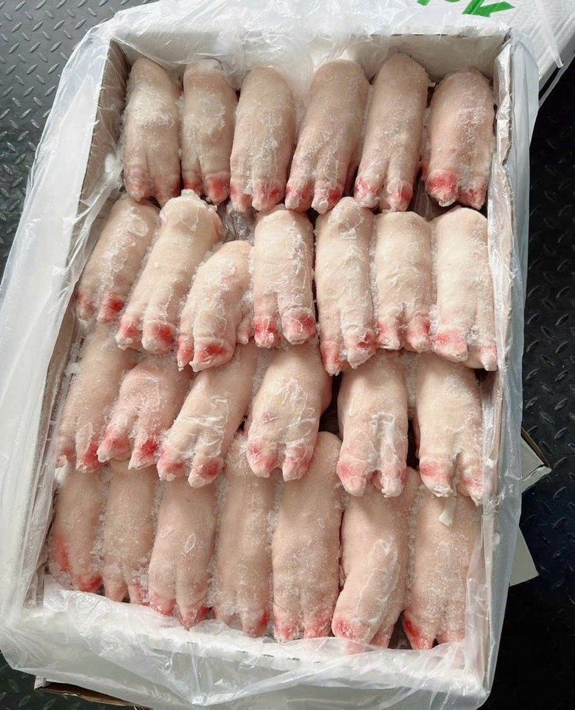 MÓNG GIÒ HEO TRƯỚC APK 