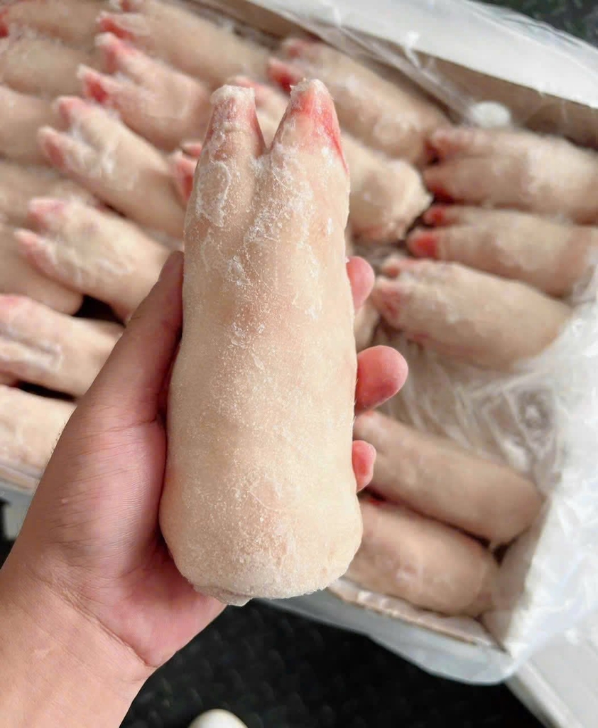 MÓNG GIÒ HEO TRƯỚC APK 