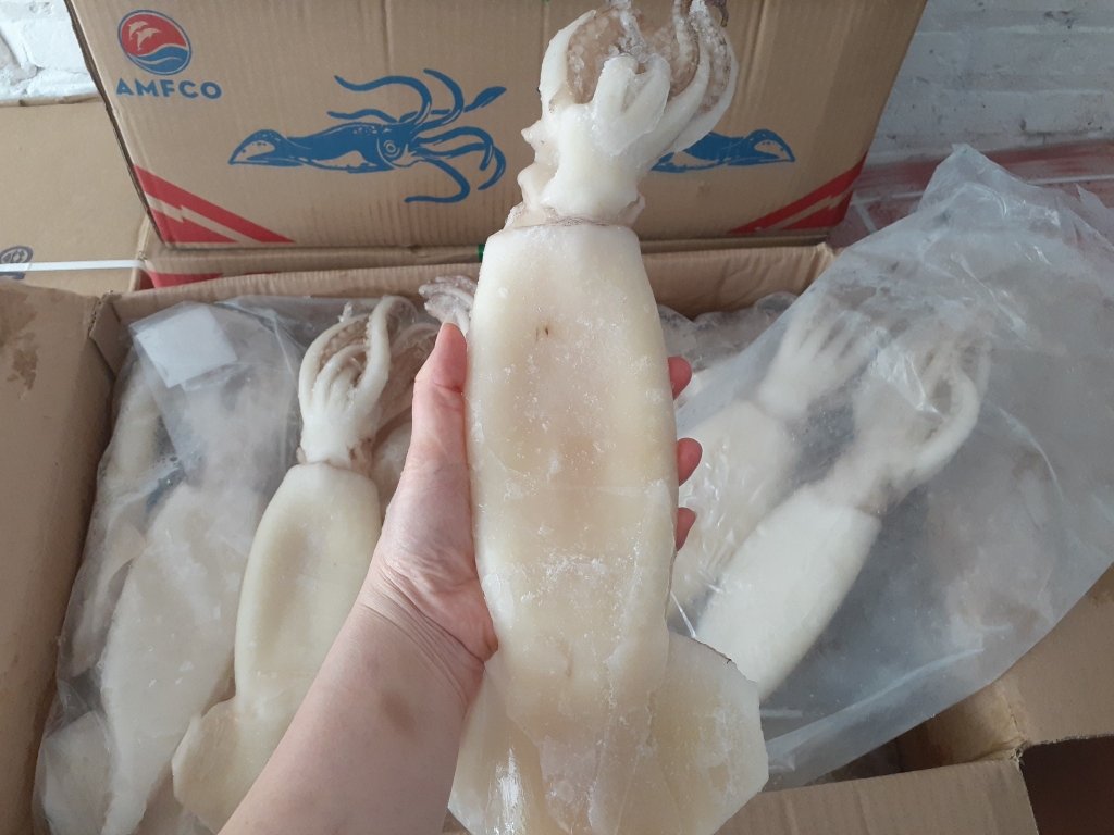Mực ống nguyên con làm sạch cấp đông IQF  - túi 2 kg