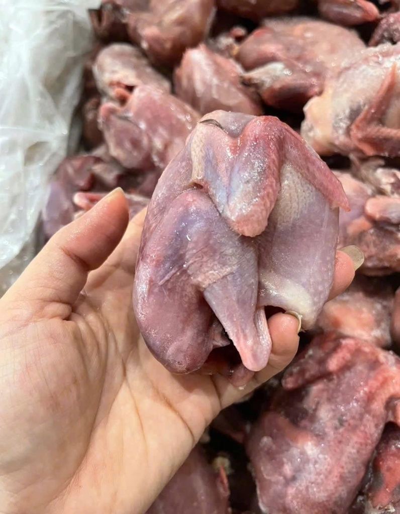 Chim cút nguyên con làm sạch 80 con/ thùng