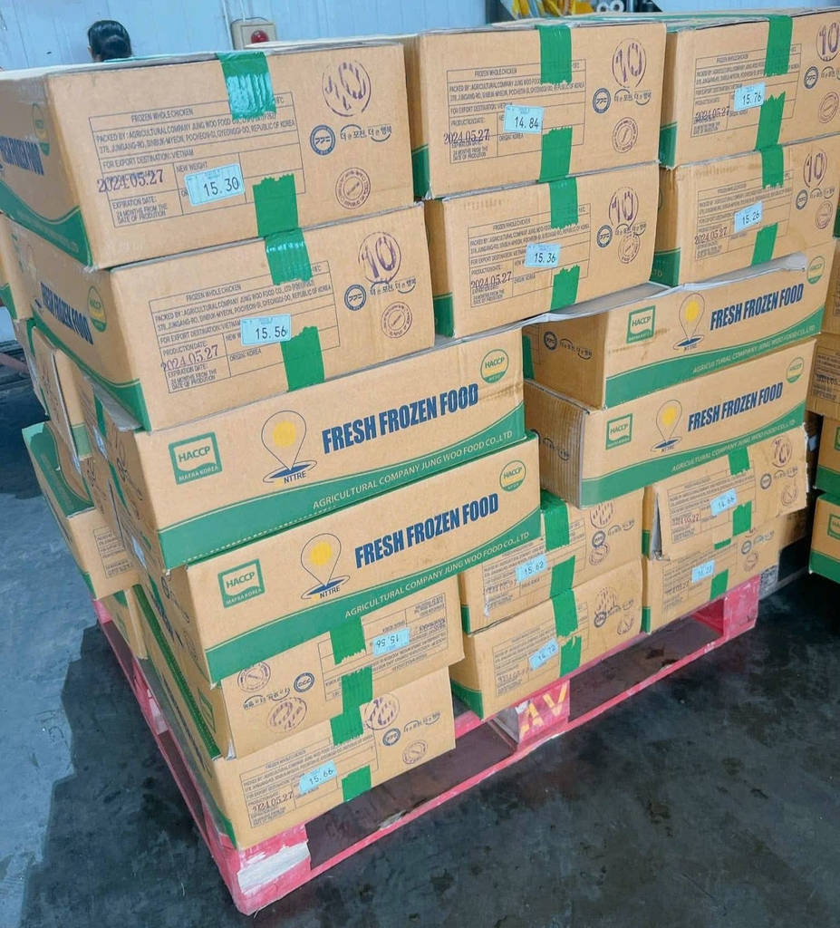 Gà dai nguyên con Hàn Quốc (đủ sz: 10D4, 10D5, 10D6, 10D7 )