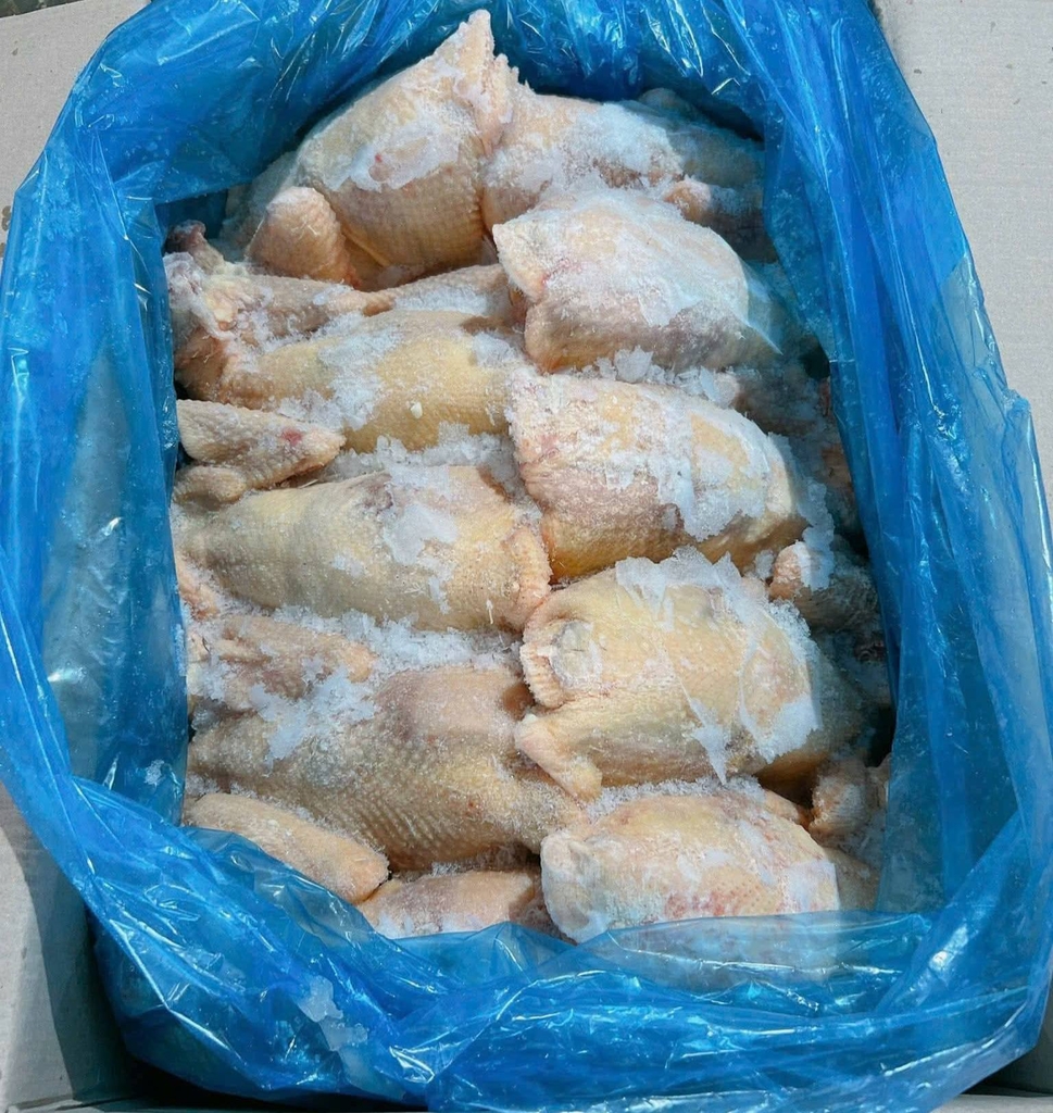 Gà dai nguyên con Hàn Quốc (đủ sz: 10D4, 10D5, 10D6, 10D7 )