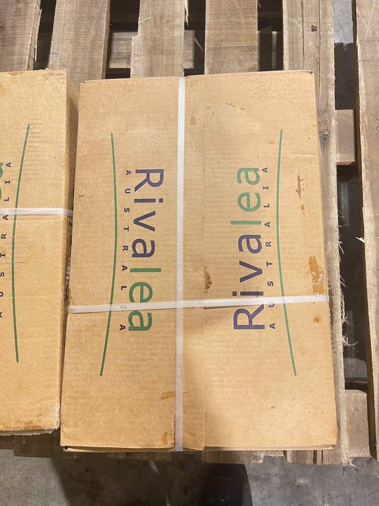 TIM HEO NGUYÊN QUẢ RIVALEA – NHẬP KHẨU ÚC