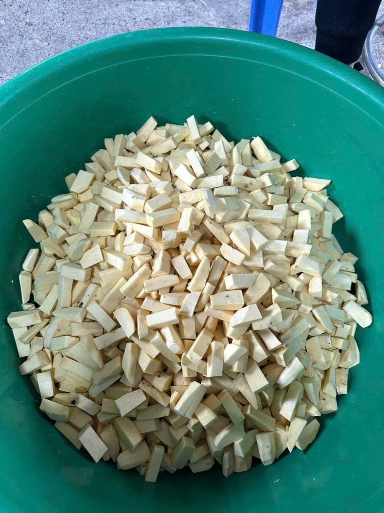 Khoai lang kén Thuận Phát gói 250g