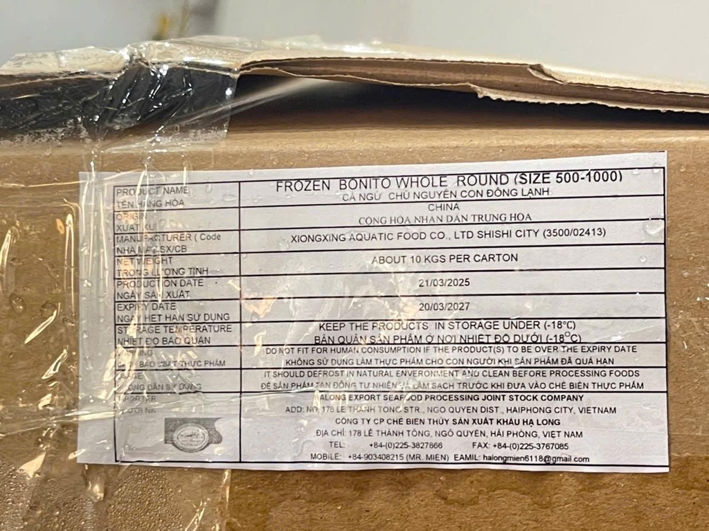 CÁ NGỪ NGUYÊN CON ĐÔNG LẠNH – SIZE 500–1000G THÙNG 10KG
