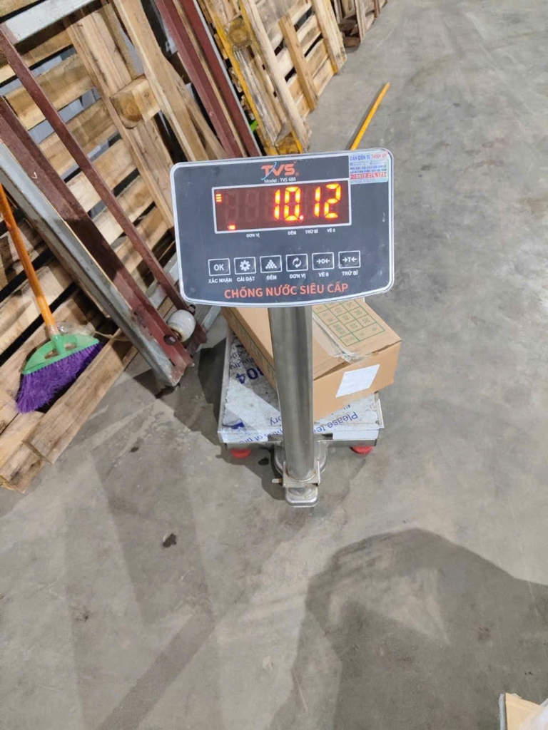 CÁ NỤC TQ 6–8 (THU NGỪ) ĐÔNG LẠNH - THÙNG 10KG