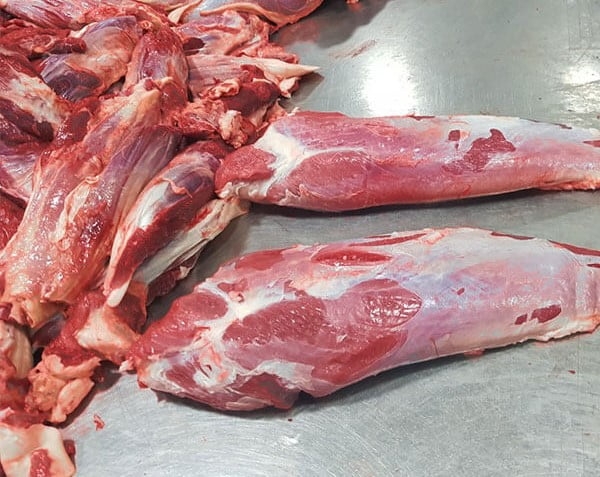 Bắp cá lóc mã 64 Al Hilla thùng 20kg