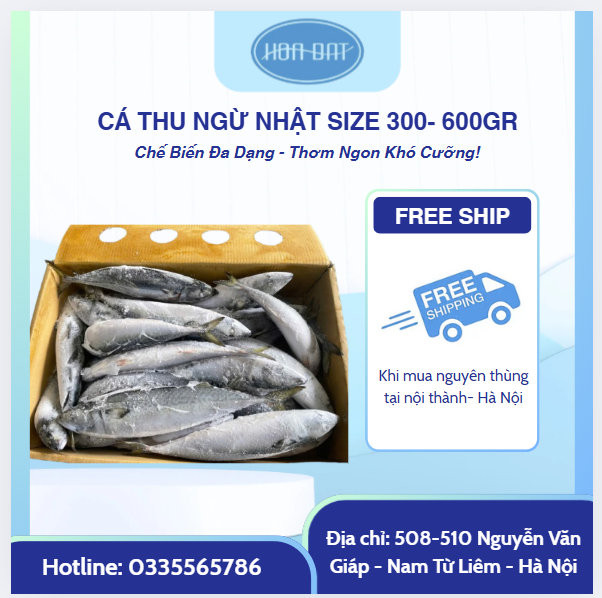 CÁ NỤC NHẬT BẢN (THU NGỪ) SIZE 300-600GR -THÙNG 15KG