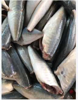 Cá Nục Gai Cắt Đầu size 20-24 con/kg ( thùng 10kg)