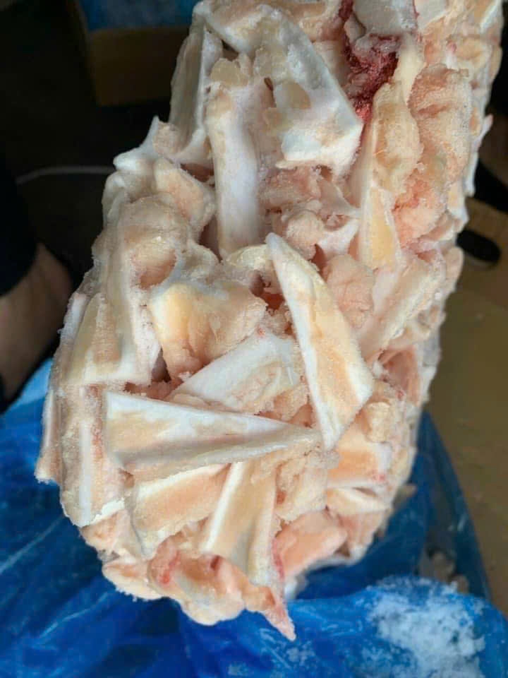 Sụn ức gà Hungary 10kg