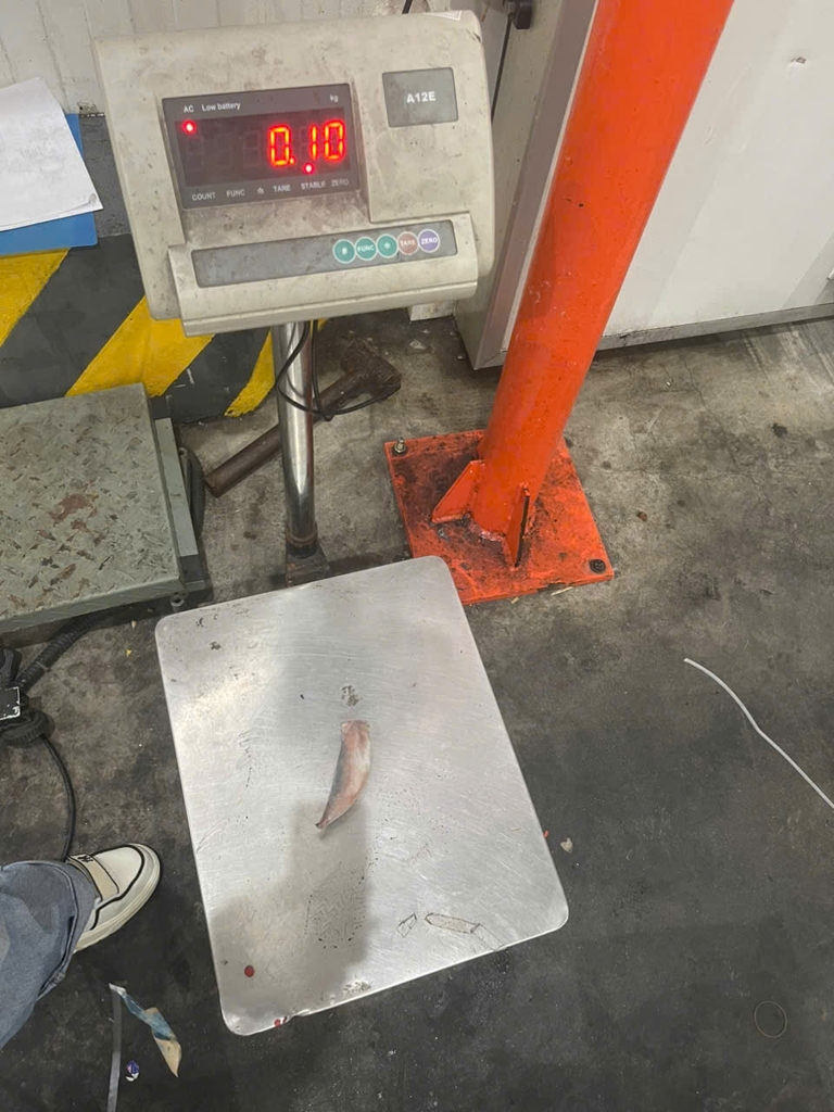 Cá Nục Gai Cắt Đầu size 20-24 con/kg ( thùng 10kg)