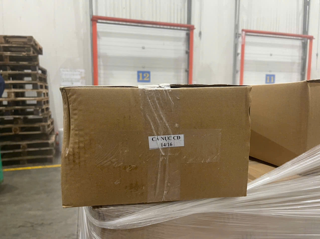 Cá Nục Gai Cắt Đầu size 20-24 con/kg ( thùng 10kg)