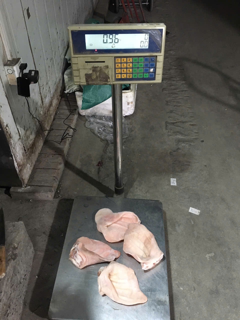 Tai heo có đế Nga APK A ( nhà máy 069) 16kg