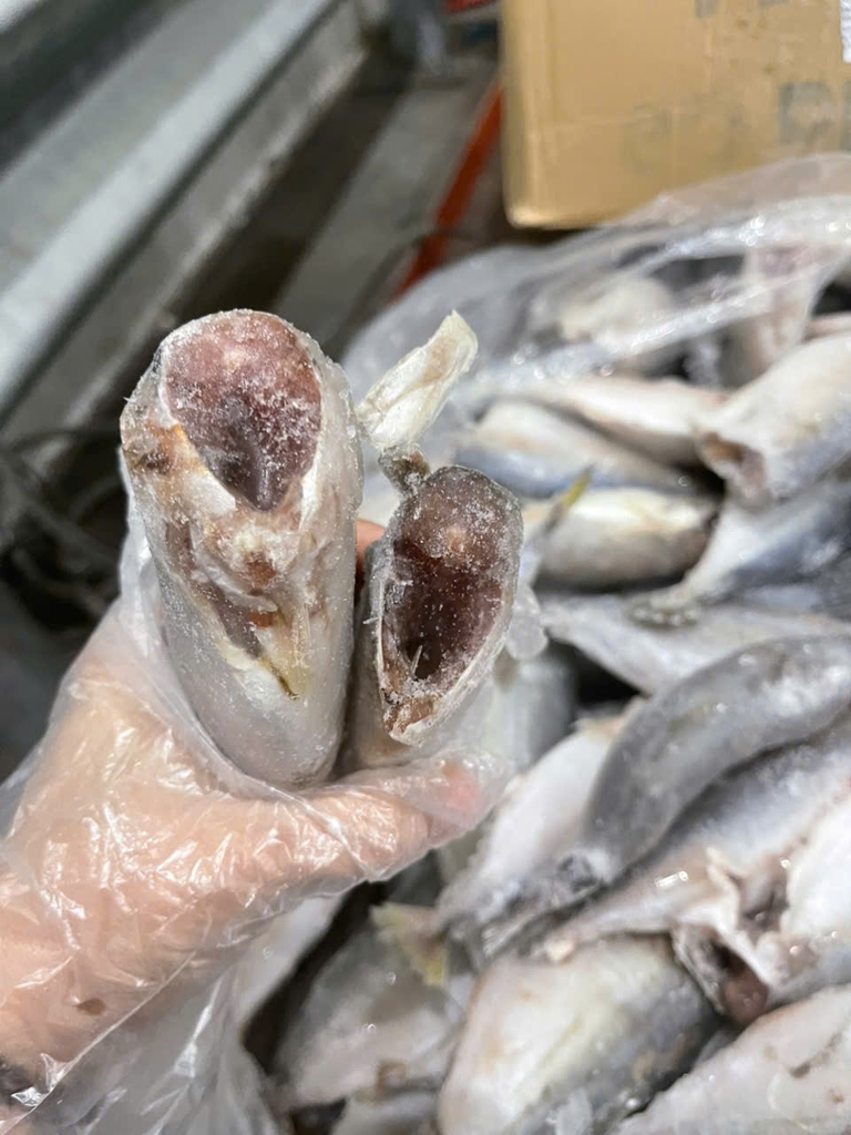 CÁ BẠC MÁ LÀM SẠCH - CẮT ĐẦU - ĐÓNG THÙNG 10KG ( sz10-14)