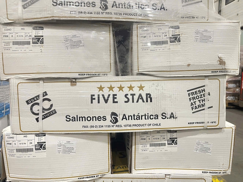 CÁ HỒI NC LÀM SẠCH FIVE STAR – NHẬP KHẨU CHILE