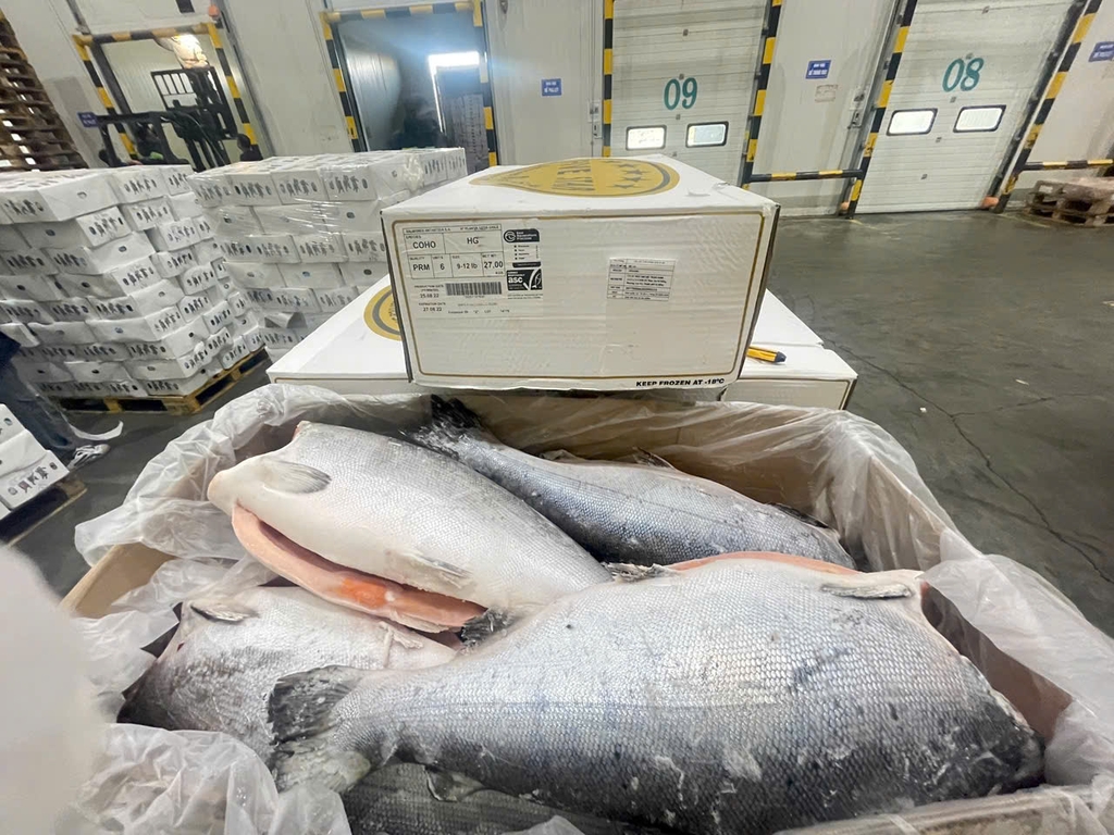 CÁ HỒI NC LÀM SẠCH FIVE STAR – NHẬP KHẨU CHILE