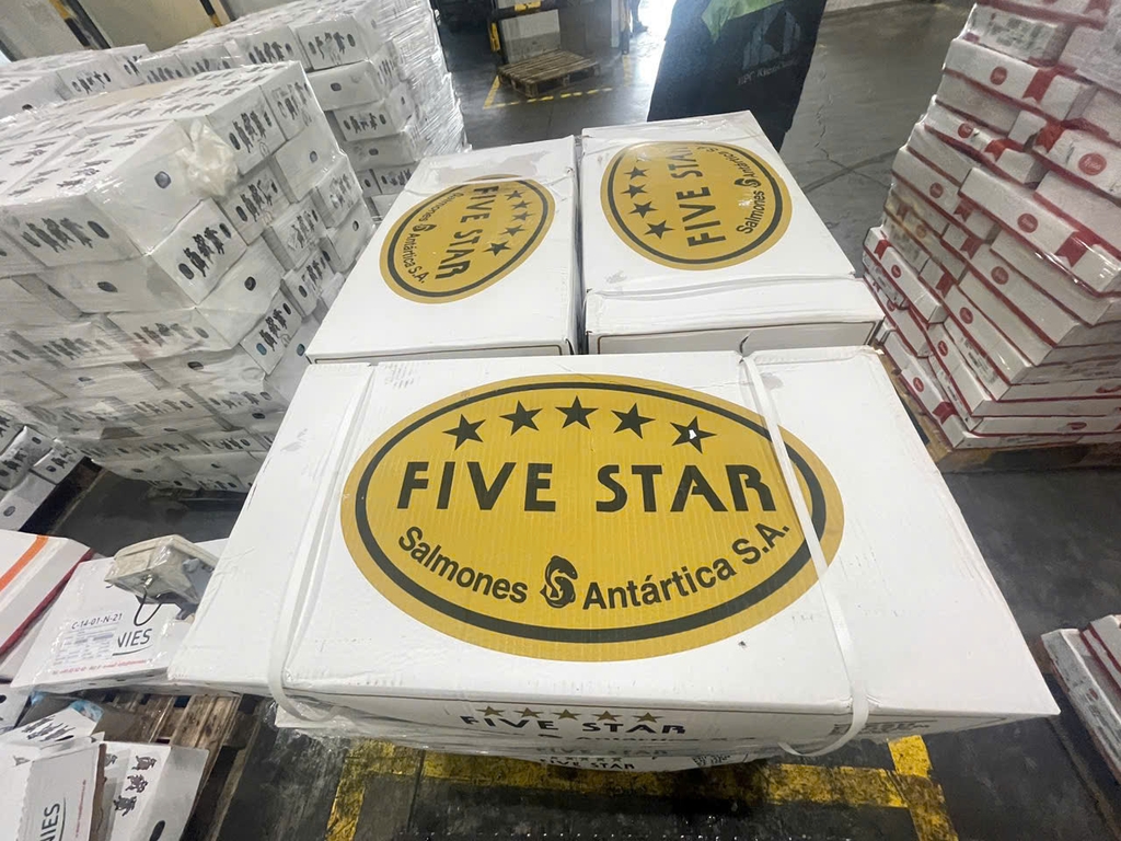 CÁ HỒI NC LÀM SẠCH FIVE STAR – NHẬP KHẨU CHILE