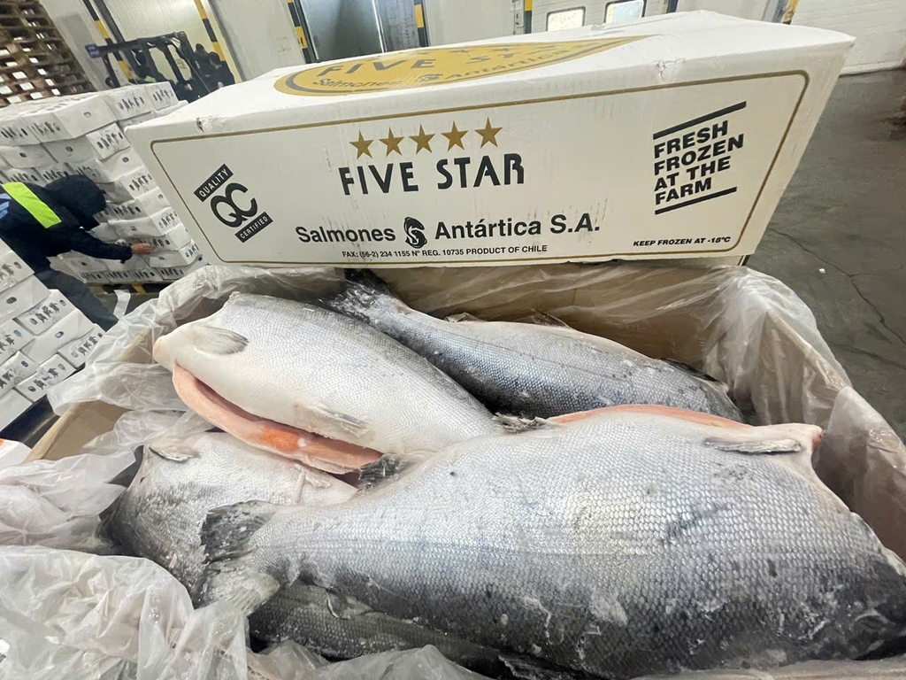 CÁ HỒI NC LÀM SẠCH FIVE STAR – NHẬP KHẨU CHILE