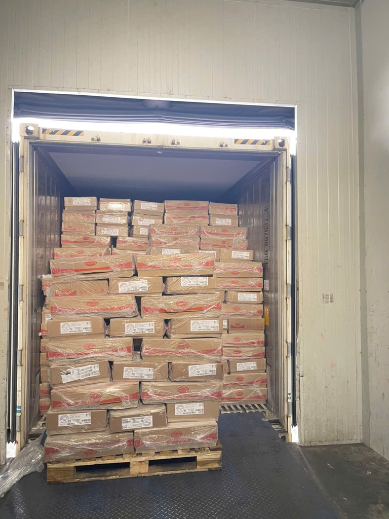 KHOANH GIÒ HEO SEARA NHỎ – NHẬP KHẨU BRAZIL