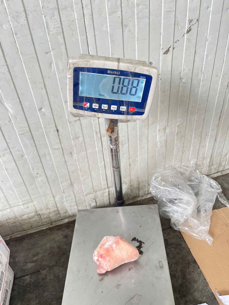 KHOANH GIÒ HEO SEARA NHỎ – NHẬP KHẨU BRAZIL