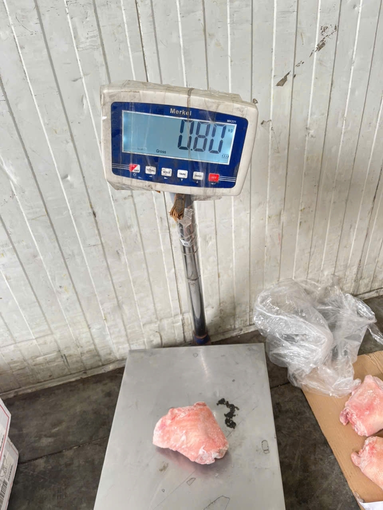 KHOANH GIÒ HEO SEARA NHỎ – NHẬP KHẨU BRAZIL