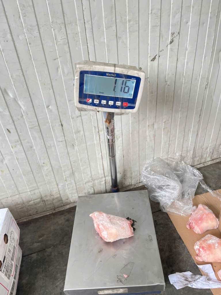 KHOANH GIÒ HEO SEARA NHỎ – NHẬP KHẨU BRAZIL