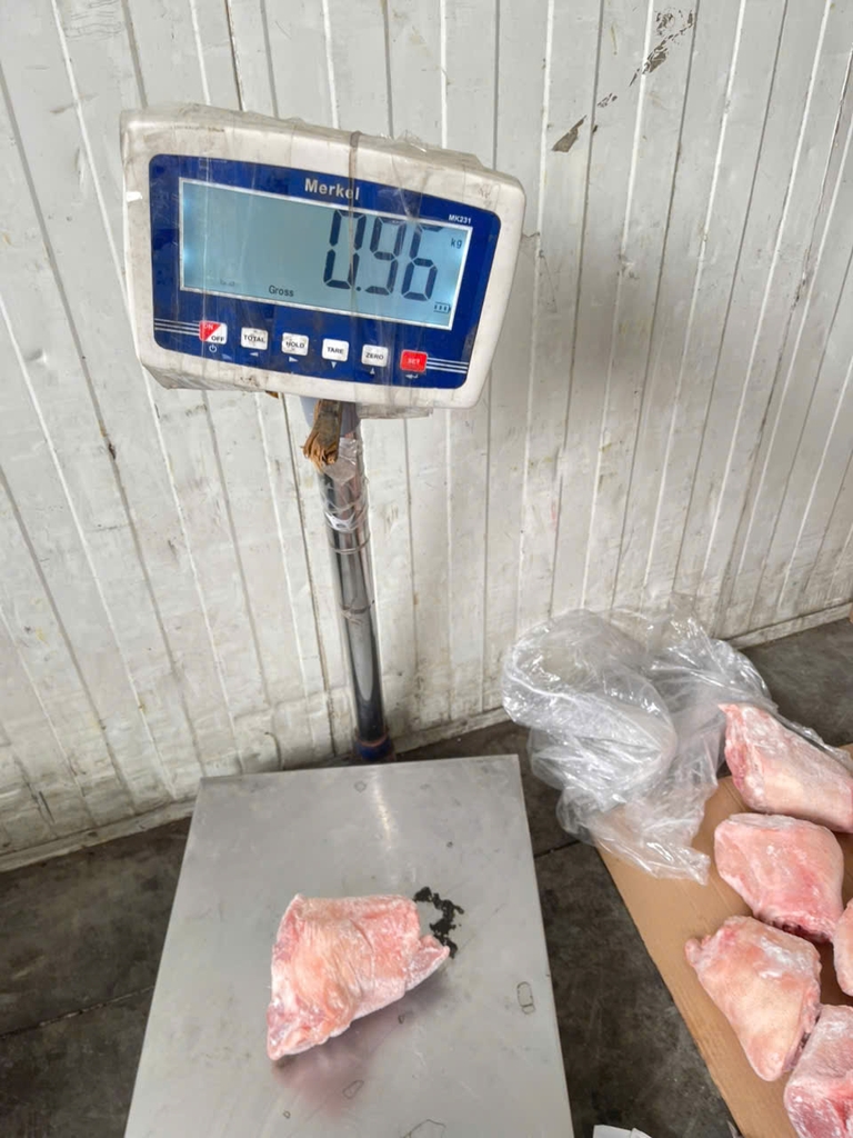 KHOANH GIÒ HEO SEARA NHỎ – NHẬP KHẨU BRAZIL