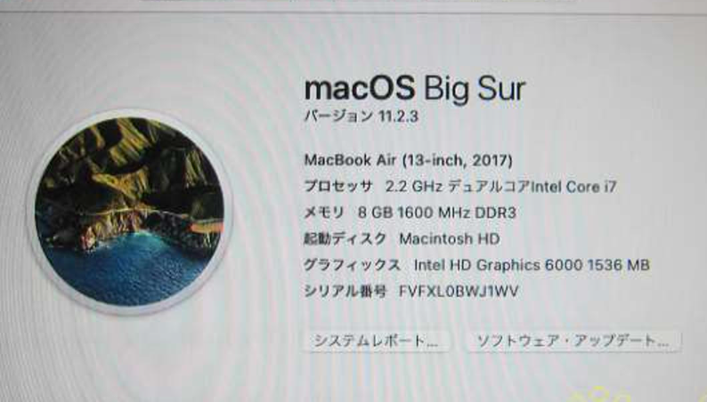 MacBook Air 2017 (FVFXL0BWJ1WV)
