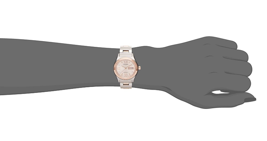 Citizen PD7166-54W