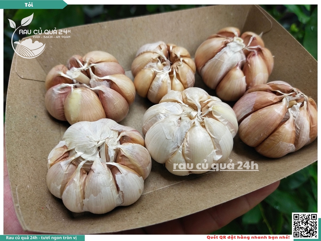 Củ Tỏi tép lớn khoảng 90g