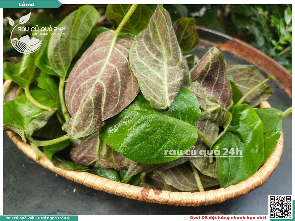 Lá mơ khoảng 100g