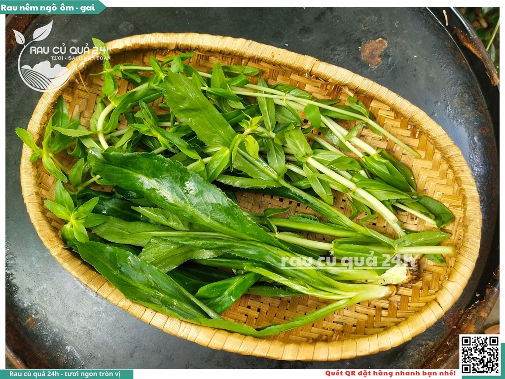 Rau Nêm Ngò ôm - Ngò gai khoảng 100g