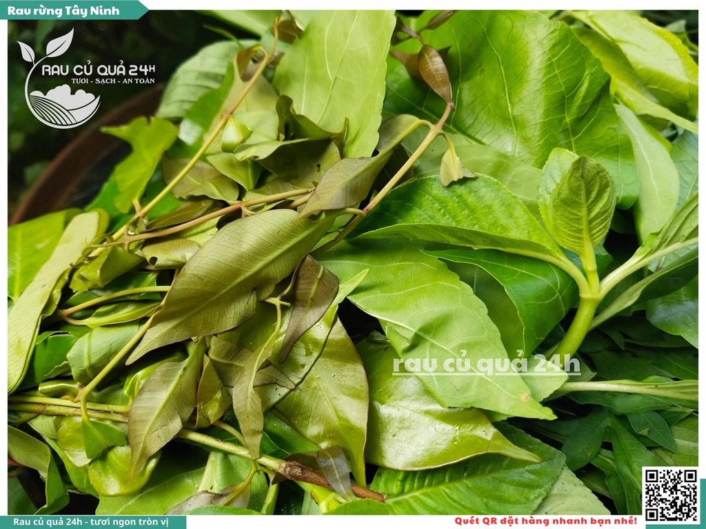 Rau rừng Tây Ninh khoảng 250g