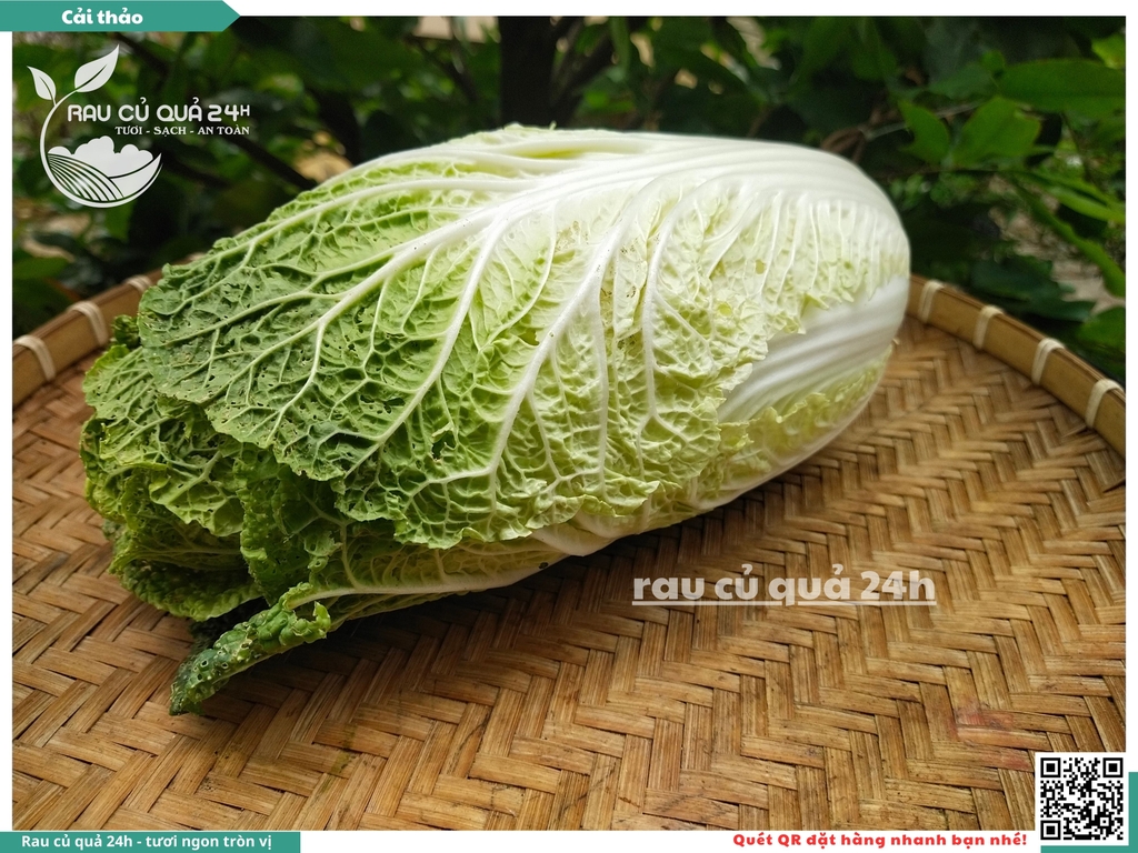 Cải Thảo - 1 cây