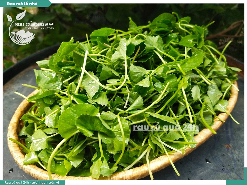 Rau má lá nhỏ khoảng 300g