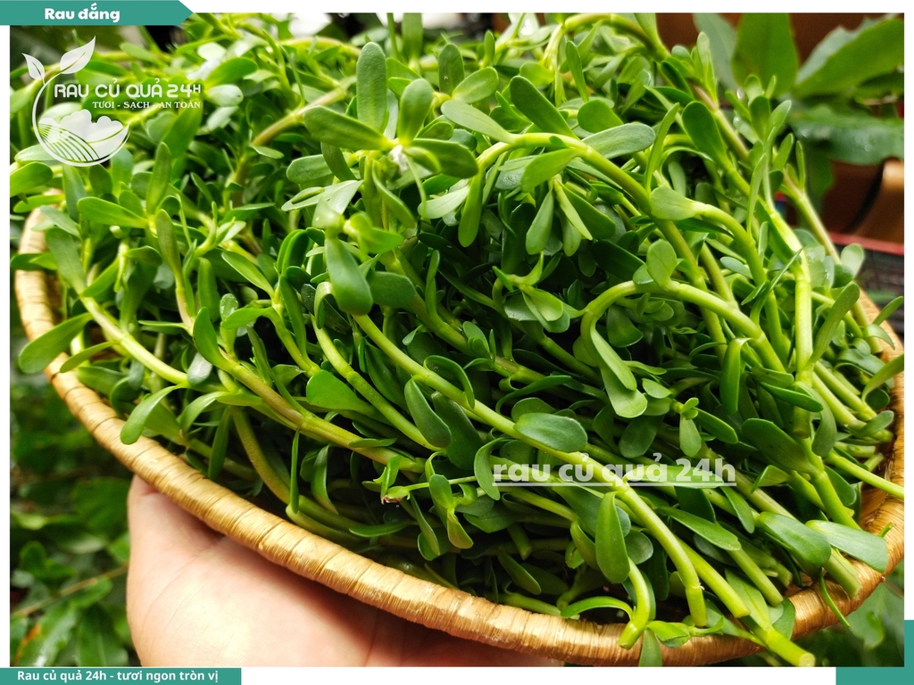 Rau đắng khoảng 250gr