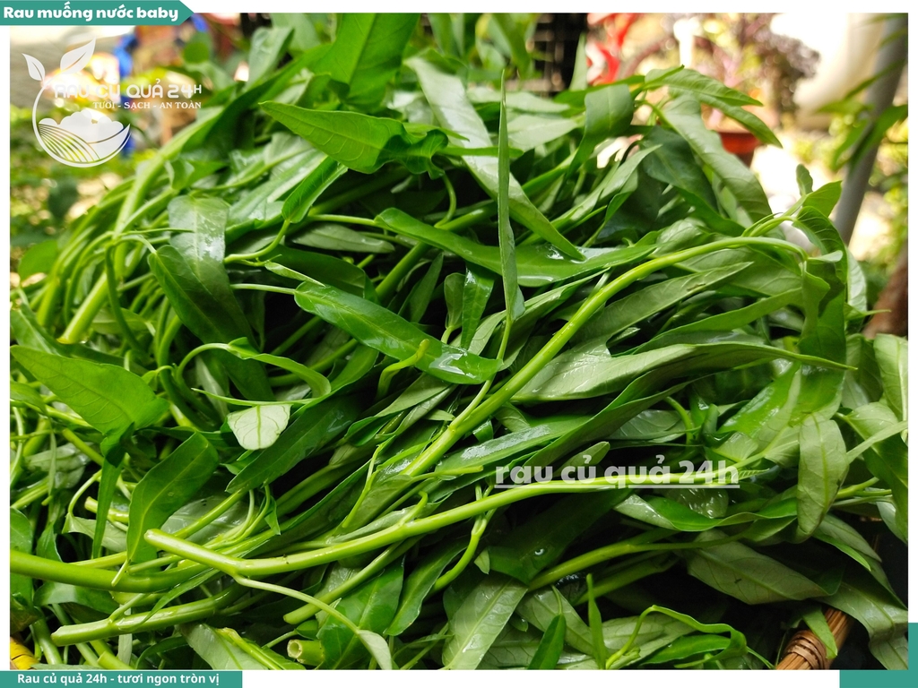 Rau muống nước baby khoảng 300g