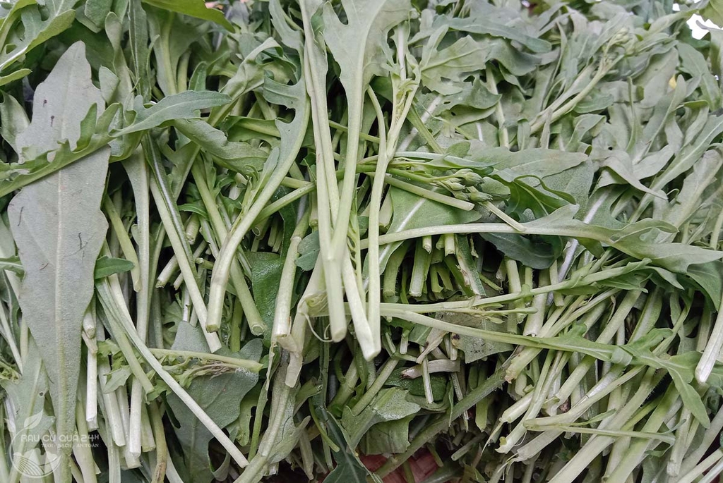 Rau salad Rocket khoảng 200g