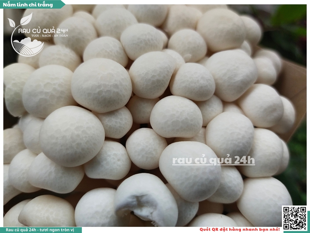 Nấm linh chi trắng - 175g