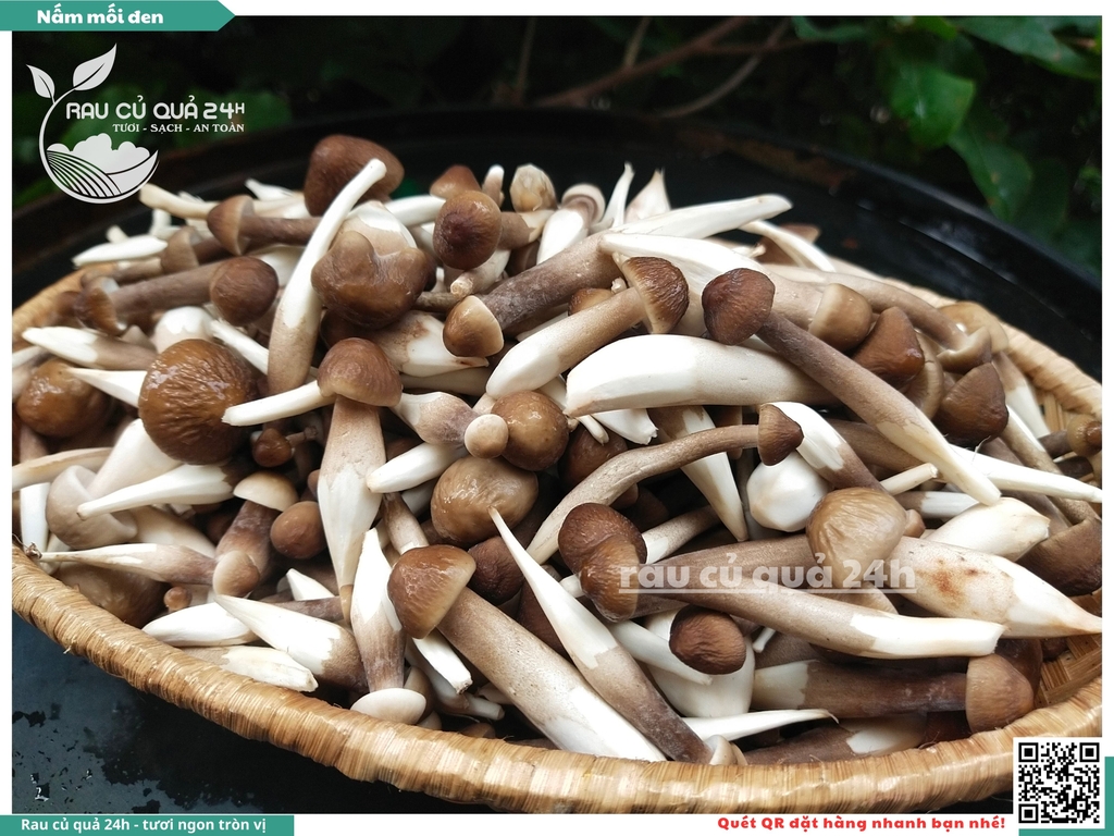 Nấm mối đen - 400g