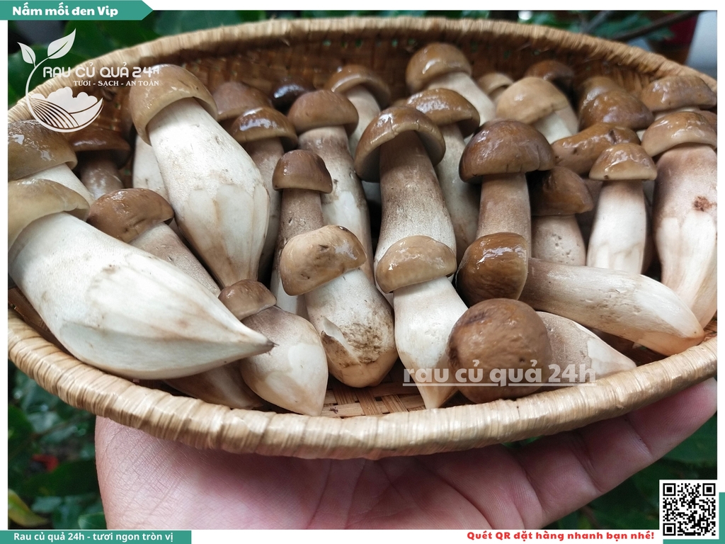 Nấm mối đen vip - 400g